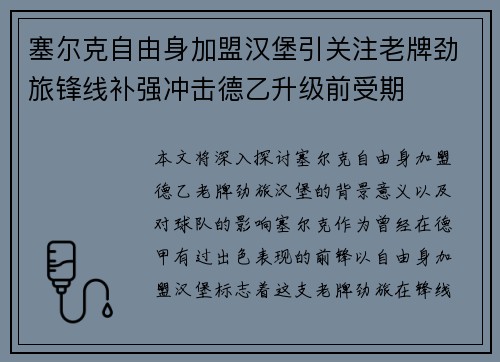 塞尔克自由身加盟汉堡引关注老牌劲旅锋线补强冲击德乙升级前受期