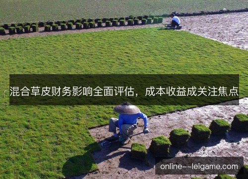 混合草皮财务影响全面评估,成本收益成关注焦点 混合草皮财务影响全面评估,成本收益成关注焦点